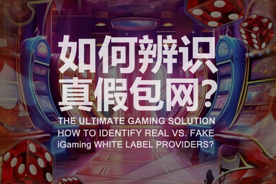 如何辨识真假包网？